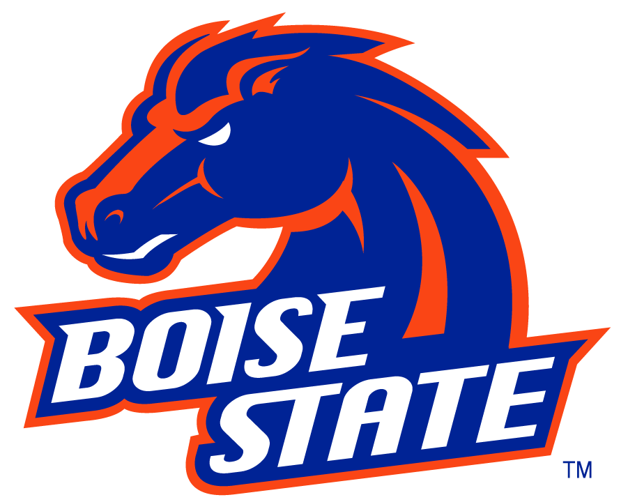 Boise State Broncos 2002-2012 Alternate Logo v2 iron on transfers for T-shirts